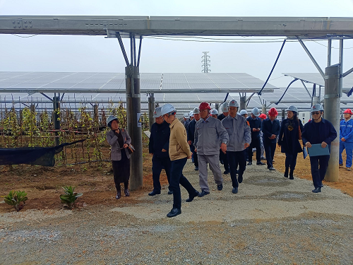 省工業(yè)和信息化廳副廳長吳東文及縱向幫扶組團單位一行到葵潭農場調研3.png